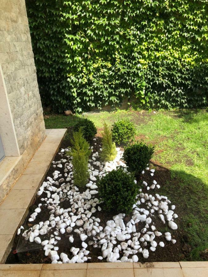 Acacia summer holiday Ðenovići Exterior foto